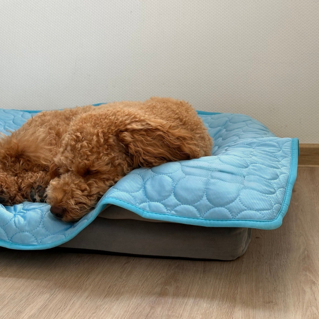 CHILLPAWS | Self-Cooling Gel Mat for Dogs & Cats