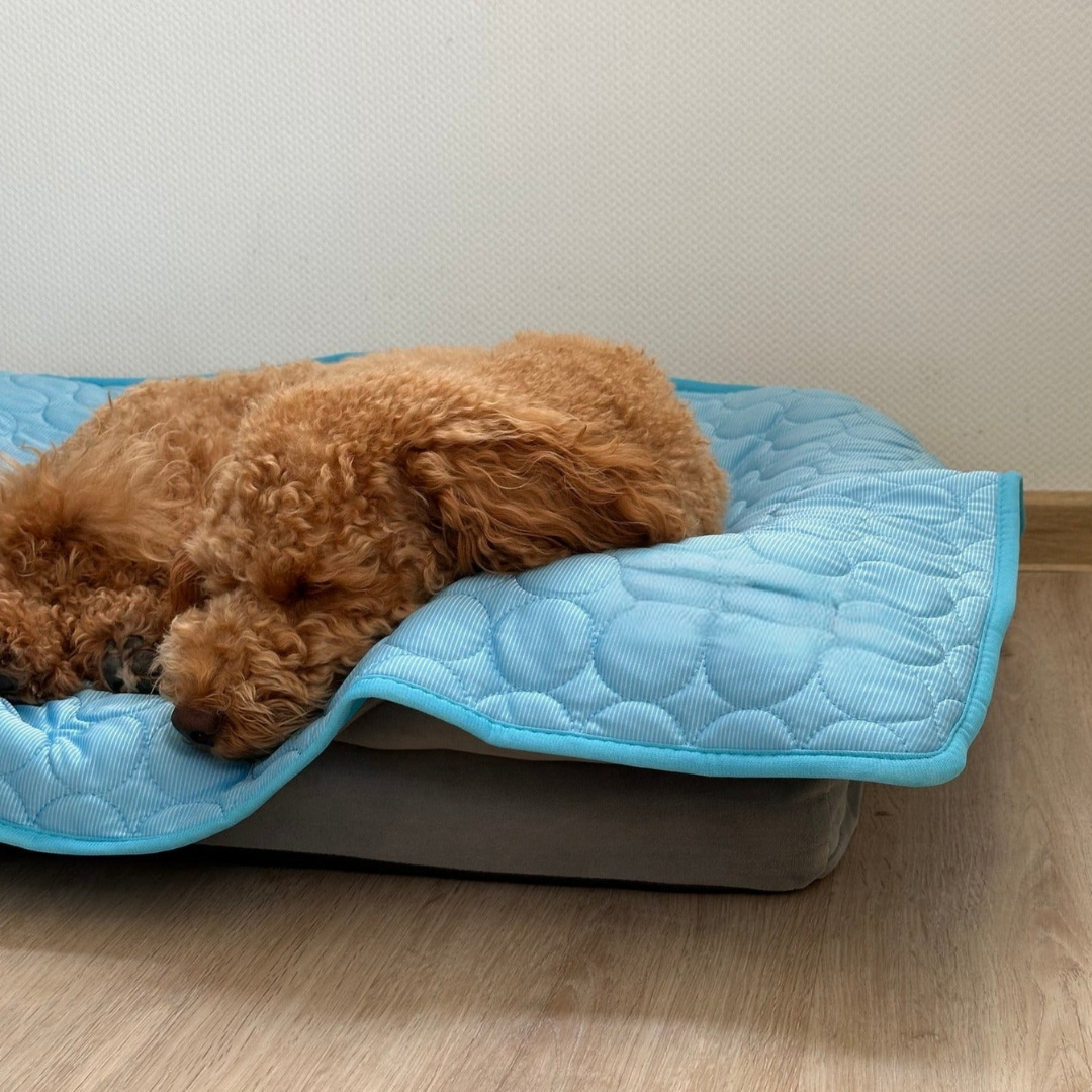 CHILLPAWS | Self-Cooling Gel Mat for Dogs & Cats